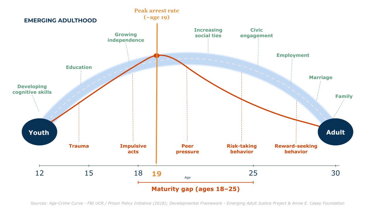 Diagram spanning ages 12 to 30. A blue arch runs from a circle labeled Youth to a circle labeled Adult, with supports labeled along it: developing cognitive skills, education, growing independence, increasing social ties, civic engagement, employment, marriage, family. An orange age-crime curve rises to a peak arrest rate near age 19 and falls, with risk factors labeled below: trauma, impulsive acts, peer pressure, risk-taking behavior, reward-seeking behavior. A bracket marks the maturity gap, ages 18 to 25.